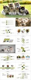 可爱宠物萌宠狗狗动态PPT