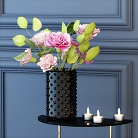 漂亮的观赏性花卉