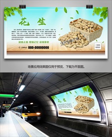 花生批发海报灯箱展板展架挂画