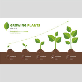 植物成长过程图片大全 植物成长过程设计素材 植物成长过程模板下载 植物成长过程图库 昵图网soso Nipic Com