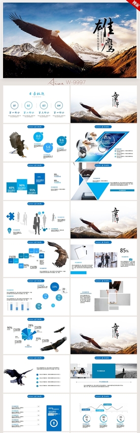 飞翔的雄鹰展望未来总结PPT