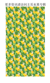 清新水果印花 柠檬 绿叶