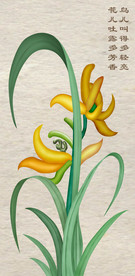 兰花绘图