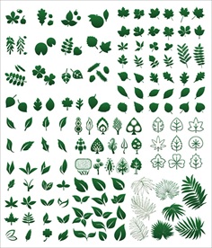 各种树叶矢量剪影合集
