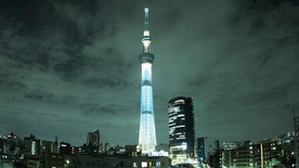 天树之塔 灯塔 灯光