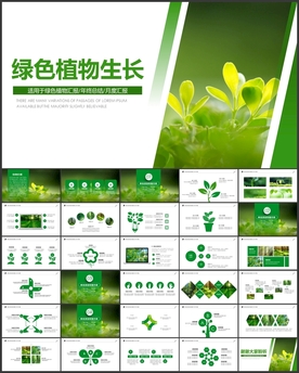 绿色植物发芽生长希望PPT