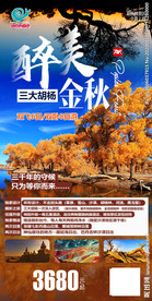 额济纳 额济纳旗旅游 漫步胡杨