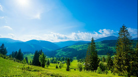 蓝色山脉 大树 草地