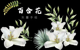 百合花矢量高清手绘艺术插画