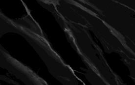 斜纹 黑色纹理 TIF合层