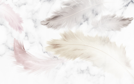 现代简约羽毛电视背景墙