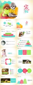 宠物狗宠物医院宠物食品PPT