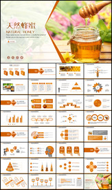 蜂蜜蜂王浆蜜蜂养殖厂宣传PPT
