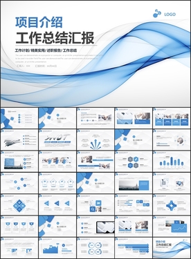 项目介绍工作总结汇报PPT