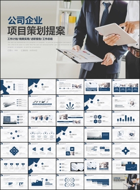 公司企业项目策划提案动态PPT