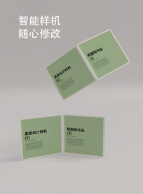 展开画册样机对折页样机