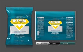 玉米种子(展开图)