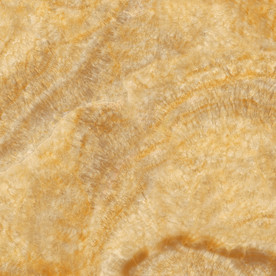 天花豪华纹理 PSD通道分层