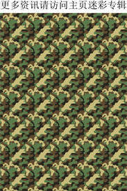 迷彩图案 迷彩印花 迷彩图片
