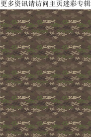 男士迷彩 迷彩印花 迷彩图案