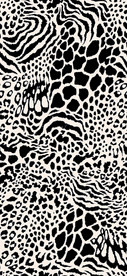 豹纹