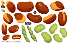 兰花豆手绘素材