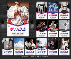 跆拳道 跆拳道海报 跆拳道展板