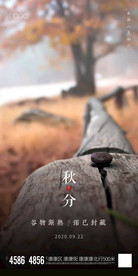 节气海报