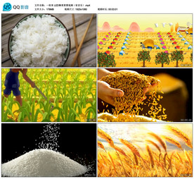 一粒米 歌曲舞台大屏幕背景视频