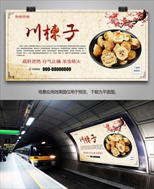 中草药川楝子海报灯箱展板展架