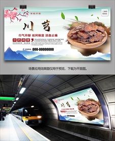 中草药川芎海报灯箱展板展架挂画