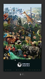 生物多样性 分层创意海报