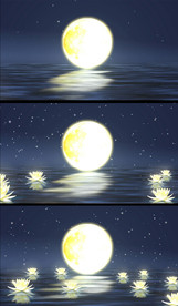 荷池月色中秋节视频背景
