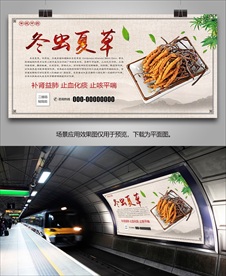 正宗冬虫夏草海报灯箱展板展架