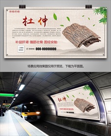 中草药杜仲宣传海报灯箱展板展架