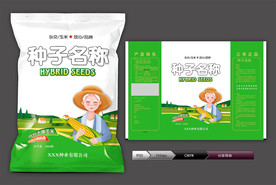 玉米种子(展开图)