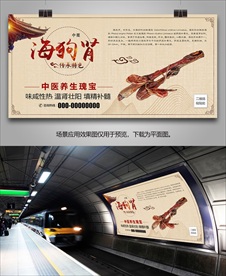 正宗海狗肾灯箱海报展板挂画单页