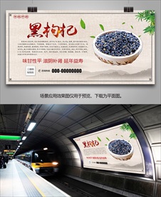 中药材黑枸杞海报灯箱展板展架