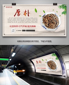 中草药厚朴灯箱海报展板展架挂画