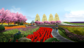 花田花海效果图