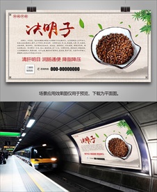中草药决明子海报灯箱挂画单页