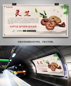 中草药灵芝海报灯箱展板展架挂画