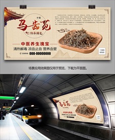 中草药马齿苋海报灯箱展板展架