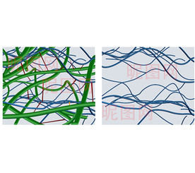 人体神精组织矢量图