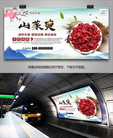 野生山茱萸海报灯箱展板展架挂画