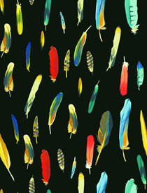 羽毛  彩色羽毛