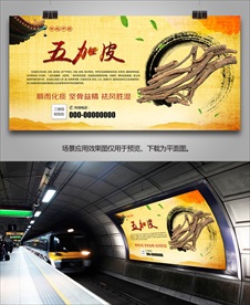 五加皮宣传海报灯箱展板展架挂画