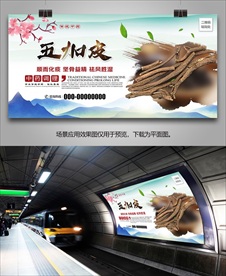 中药五加皮海报灯箱展板展架挂画