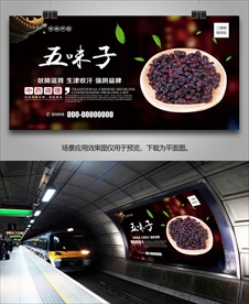 五味子海报灯箱展板展架挂画单页