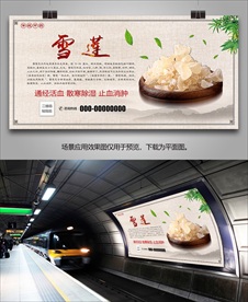 雪莲简介灯箱海报展板展架挂画